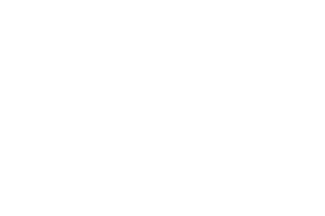 Lady Filmmakers Festival White Laurels